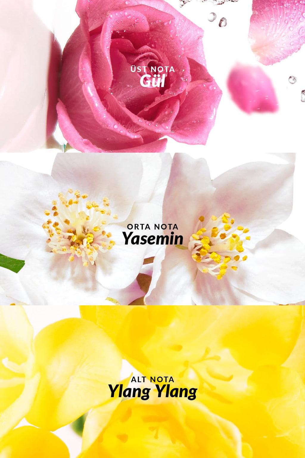 AVON Soft Musk EDT